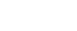 Dynamic Mindset