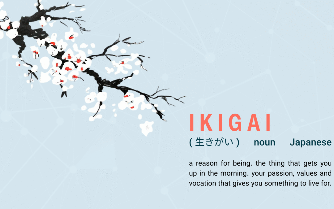 Want a Meaningful Life?